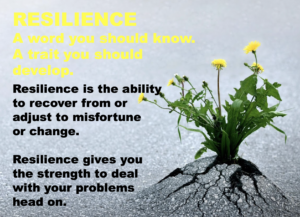 Character education: resilience